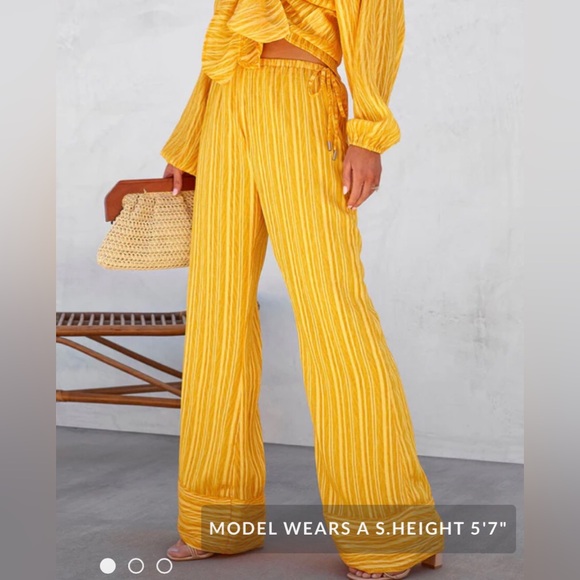 VICI tatianna yellow wide leg, high waist relax fit lined pants NEW RE $68. - Picture 3 of 15